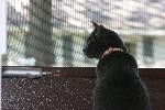 IMG_0824.JPG
