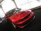 IMG_0086.JPG