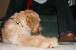 IMG_5348.JPG