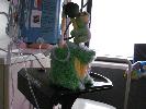 IMG_0666.JPG