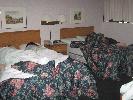 IMG_0483.JPG