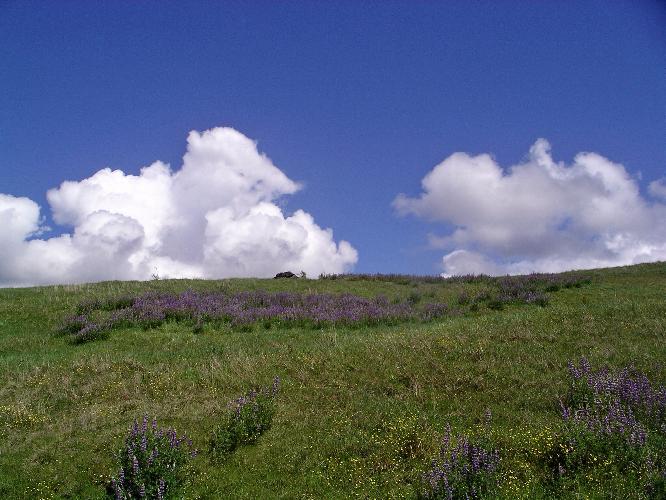 112.jpg