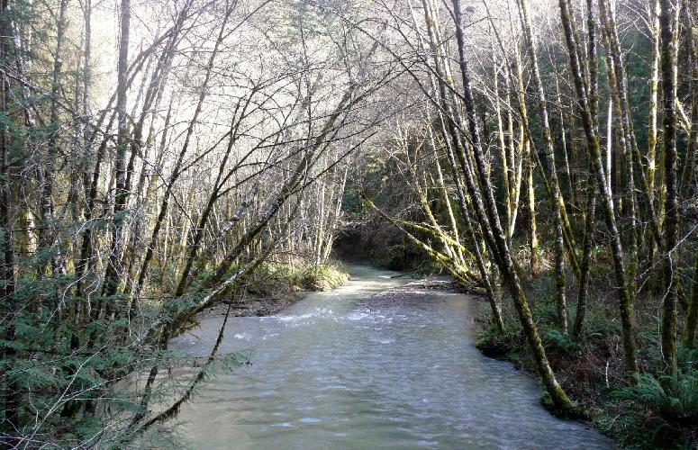 317.JPG