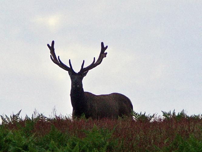 370.jpg
