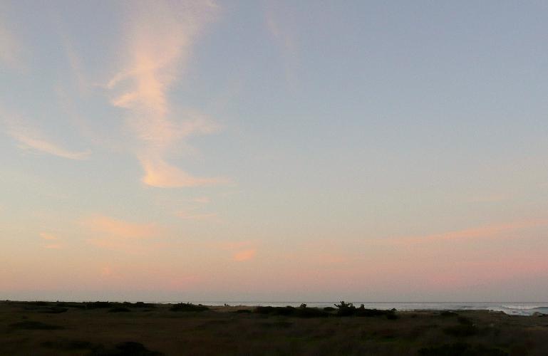 551.JPG