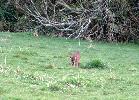 03-29-06 078_edited.jpg