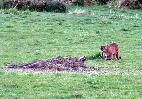 03-29-06 080_edited.jpg