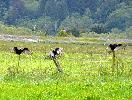 05-23-10 016_edited.jpg