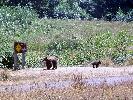 08-17-06 033_edited.jpg