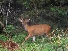 08-28-05 009_edited.jpg