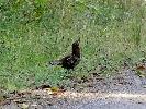 09-20-07 015_edited.jpg
