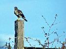 11-19-08 108_edited.jpg