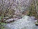 01-28-08 109_edited.jpg