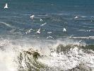 02-25-09 029_edited.jpg