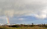 03-03-10 211_edited.jpg