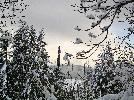 03-11-06 017_edited.jpg