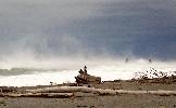12-03-07 063_edited.jpg