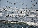 12-19-06 013_edited.jpg