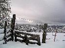 03-14-06 011_edited.jpg
