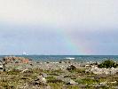 04-14-09 002_edited.jpg