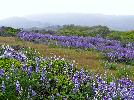 05-04-08 007_edited.jpg