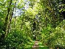 05-19-10 068_edited.jpg