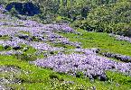 05-26-09 034_edited.jpg