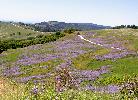 05-29-07 024_edited.jpg