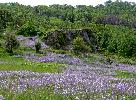 06-01-09 040_edited.jpg