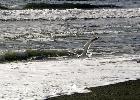 06-07-05 133_edited.jpg