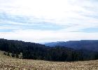 02-27-08 025.jpg