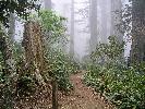 05-18-06 030_edited.jpg