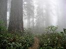 05-18-06 033_edited.jpg