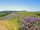 05-29-07 016_edited.jpg