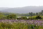 05-29-11 206.jpg