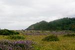 05-29-11 410.jpg