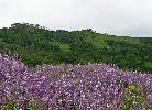 06-01-09 002_edited.jpg