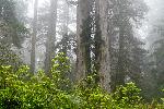07-01-11 016.jpg