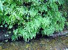 08-01-07 024_edited.jpg