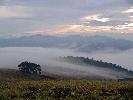 10-05-06 041_edited.jpg