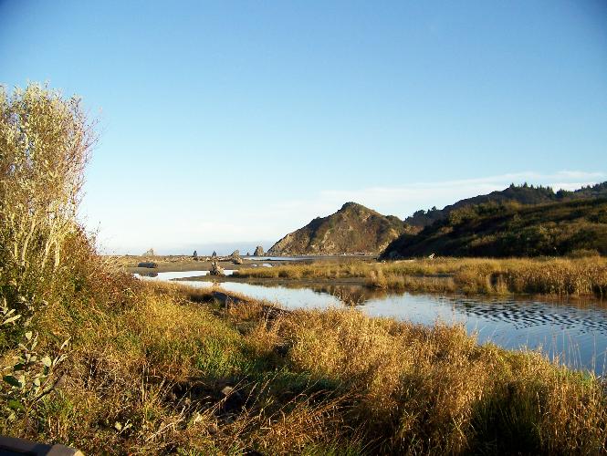 11-19-08 006.jpg