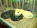 IMG_0017.JPG