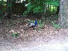 IMG_0022.JPG