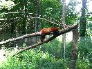 IMG_0027.JPG