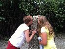 IMG_0029.JPG