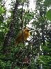 IMG_0056.JPG