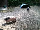 IMG_0060.JPG