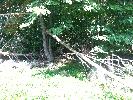 IMG_0063.JPG