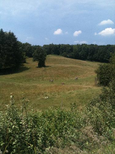 hijlhikl.JPG