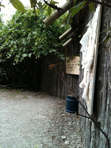 photo4.JPG